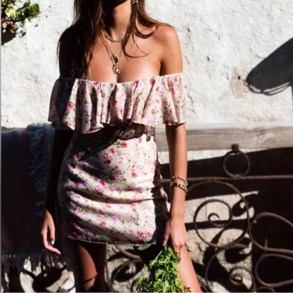 Vanessa Mooney The Joelyn Dress: Pink Roses XS